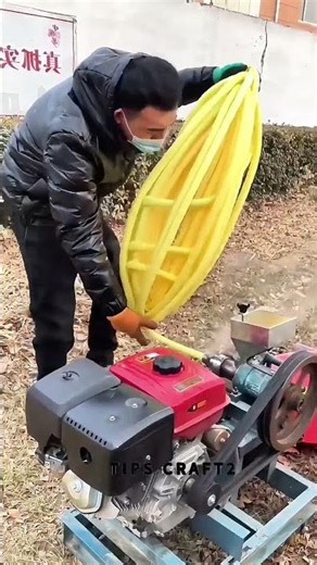 Multi-Grain Extruder Machine：Versatile extrusion for diverse treats