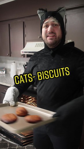 How cats make biscuits🤣 #pets #cats #catsoftiktok | cats make biscuits