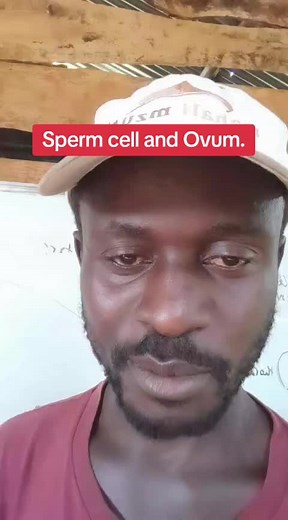 Origin of Life: The Connection Between Sperm Cell and Ovum