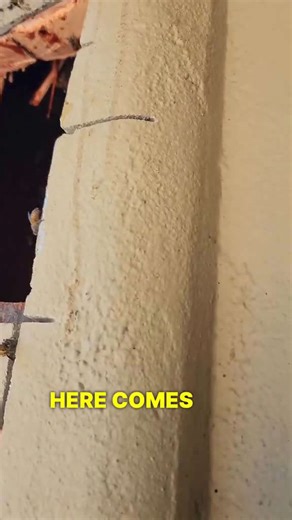 Uncovering the Massive Hidden Beehive Inside a House Wall