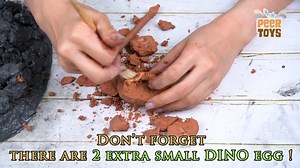 Watch Let's find your dinosaur! on Amazon Live