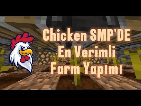 Chicken SMP'DE En Verimli Hibrit Farmı Yapımı (Kısa Anlatım)