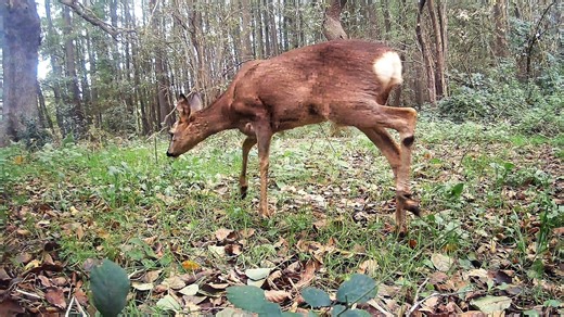 1.6K views · 39 reactions | WHAT LIVES DOWN HERE THEN? — WILDEN MARSH...