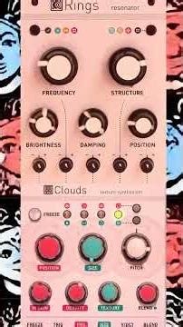 Mutable Instruments Rings into Clouds 03