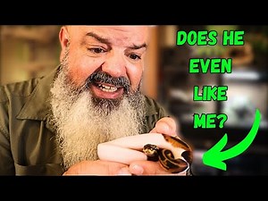 How to Get Your Snake to "Like" You