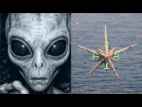 Brand NEW Clear Cryptid Footage! *Aliens & UFOs in HD*