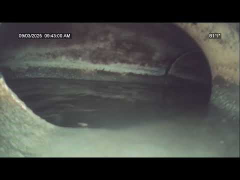 4410 North Branch Dr