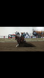 Stallion Auction season is here! @abcowhorse not only puts on great events, they and many other clubs also auction off breedings to help support their shows. Get yourself a breeding to North and give back to the clubs that give us a place to play. #aqhastallion #homozygousroan #nrcha #hasathingforchestnutmares | One Time Up North