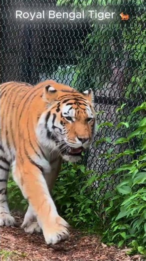 Bangladesh – 5 Mind Blowing Facts