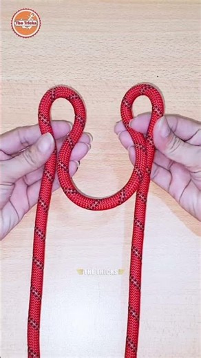 How to tie Rope Knot 💡 Quick home DIY