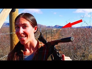 INTRUDERS BEWARE! Installing A Massive Barbed Wire Fence For Off-Grid Cabin Security