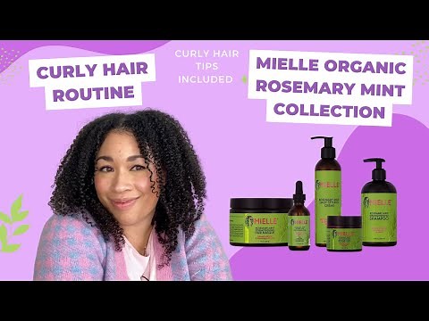 Curly Hair Routine | Mielle Organics Rosemary and Mint Collection