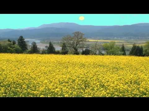 文部省唱歌 朧月夜