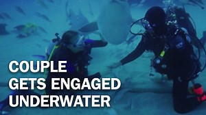 Watch this couple get engaged underwater. | TIME