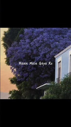 Humsafar || Saiyaara || #lyricsvideo #song #bollywoodmusic