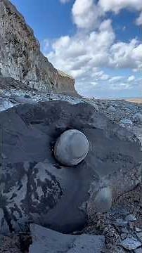 We found these GOLDEN fossils in loose slabs! 😍 These 185 Million Year Old Jurassic specimens were