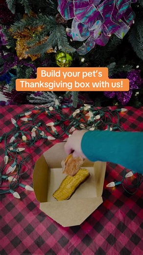 Let your pet indulge in their own feast this Thanksgiving! Stop by this Monday 11/24 through Wednesday 11/26 to grab a takeout box for your furry friend. #thanksgiving #petsoftiktok #feast