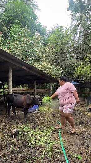 น้องเบาหวิว เต้นสุดมันส์ เพลงไทย