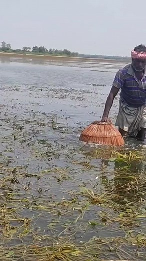 traditional fishing #fishing #traditional