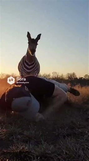 Caught on Camera: DEEBRA ATTACKS! (I Was NOT Ready)