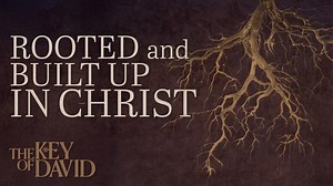 The biblical book of Colossians repeatedly mentions the mystery of God. Unlock this ultimate mystery, the wonder of wonders—the secret to salvation. | Gerald Flurry