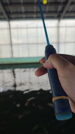 【釣り】リアルフィッシングプラネット浮き釣り🎣入れ食い爆釣の釣り@静岡県浜名湖 2026年9月10日(木)