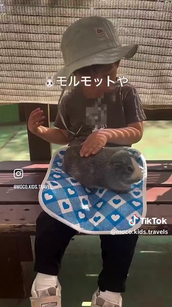 子どもと楽しむ！碑文谷公園の特別体験