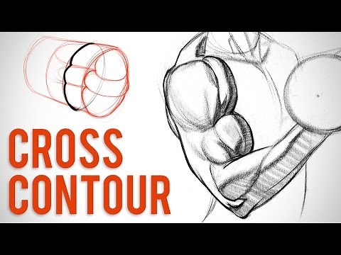 Simplifying Arm Muscles with Cross Contour - Biceps Critique