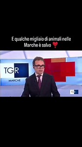 2.8K views · 413 reactions | IL TAR #MARCHE SOSPENDE ALCUNE PARTI DEL...
