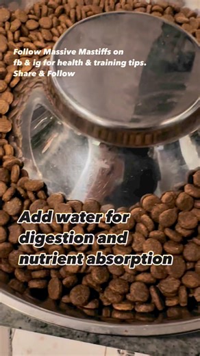 Here’s the scoop for healthy pets 👏👏☝️ Fulvic Acid Powder for bone health, heart health, neurological development, and joint health from Healing Beyond Pharmaceuticals, vitamin c, and water 💦 to make it easier to digest and many say reduce the risk of bloat. 1. **Slows Down Eating**: Mixing water with kibble can make the food more difficult to eat quickly, encouraging slower eating. Rapid consumption of dry kibble is a known risk factor for bloat. 2. **Improves Hydration**: Adding water ensur