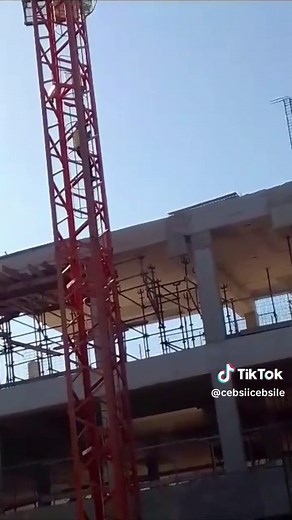 Heavy Machinery Showcase: Construction Vehicles Explained