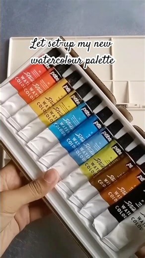 Watercolour palette set-up