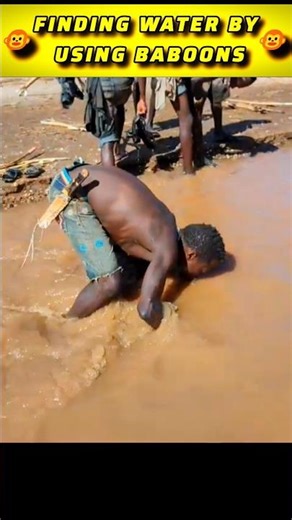 Find water using baboon🐵|| Facts #shorts #facts
