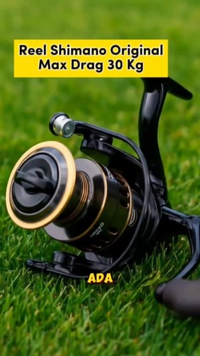 Shimano Original Fishing Reel Review 2025