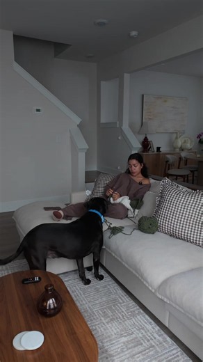 Loving My Grandma Era: Dog Mom Moments with Grandma