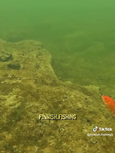 Pike Editing Techniques for Enthusiasts