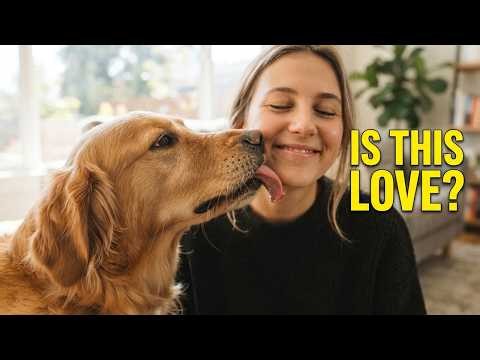 Is Your Dog’s Licking a Warning Sign? Here’s What You Need to Know