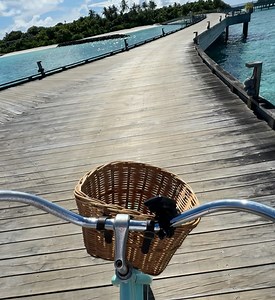 Stephanie Davis on Reels