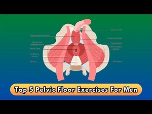 Top 5 Pelvic Floor Exercises for Men (Amazing Results)