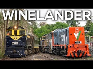 TRIPLE-HEADED Y CLASS DIESELS! (707 Operations' Winelander) | Y127, Y159, Y133, Y157