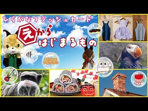 【フラッシュカード】☆ひらがなのお稽古＆語彙力のアップに☆「えから はじまるもの」