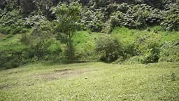 Pemandangan alam pegunungan yang indah panorama perbukitan alam, dan...