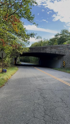 Michael | Hidden NY 🔑 on Instagram: "Welcome to Sweet Hollow Road in Huntington, NY, one of the most haunted roads on Long Island. On this narrow stretch of asphalt, so many Long Island legends and ghost stories converge, from Mary’s Grave to the infamous school bus crash under the bridge. Decades ago, a bus supposedly lost control here on a snowy night, killing all the children inside. Locals say if you stop your car under the bridge and put it in neutral, unseen hands will push you forward, l