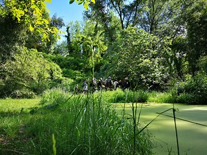 Balades et randonnées - Albi Tourisme
