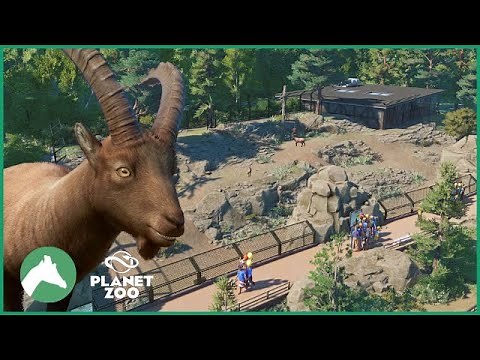 Alpine Ibex Habitat | Elm Hill City Zoo | Planet Zoo