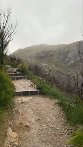 527K views · 4.5K reactions | EVER SEEN SNOW IN WA? ❄️   A flurry falling on Bluff Knoll this morning. MORE PHOTOS: https://ab.co/3oJrDyb Steve Hawkins took this video on the summit trail. “It’s one heck of a climb but pure magic for sure,” he said. | ABC Great Southern | Facebook
