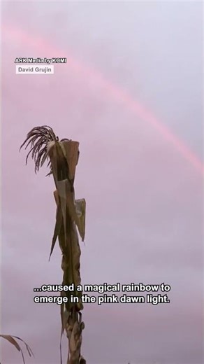 Who knew that pink rainbows existed! 💕🌈