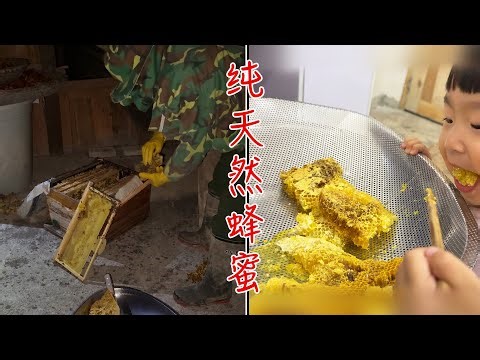 蜂巢竟然长这样？原来我们吃的蜂蜜是这样来的，现刮现吃液态黄金真的太过瘾了