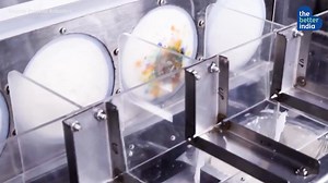 141K views · 4.7K reactions | 72 Idlis in 12 Mins: Engineer Builds ‘World’s First Idli-Bot' Two engineers have designed a fully automatic ‘Idli-Bot’ that can cook fluffy idlis, alongside chutneys and sambars, in just 12 minutes. | TheBetterIndia | Facebook