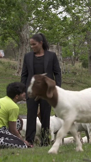 Amanda Nunes Dominates UFC 245 - The Greatest Of All Time